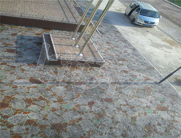 6355794998820214844020833.jpg 6355794998820214844020833.jpg