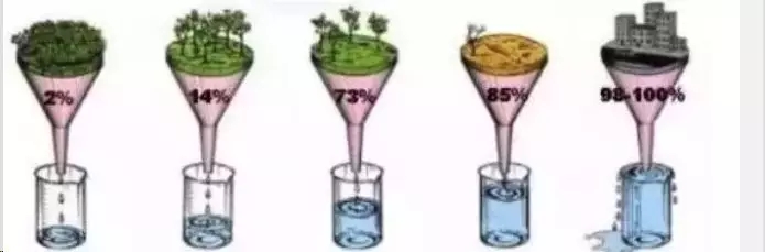 2.webp.jpg 2.webp.jpg