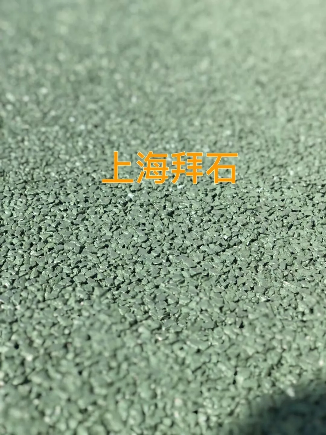 13.webp.jpg 13.webp.jpg