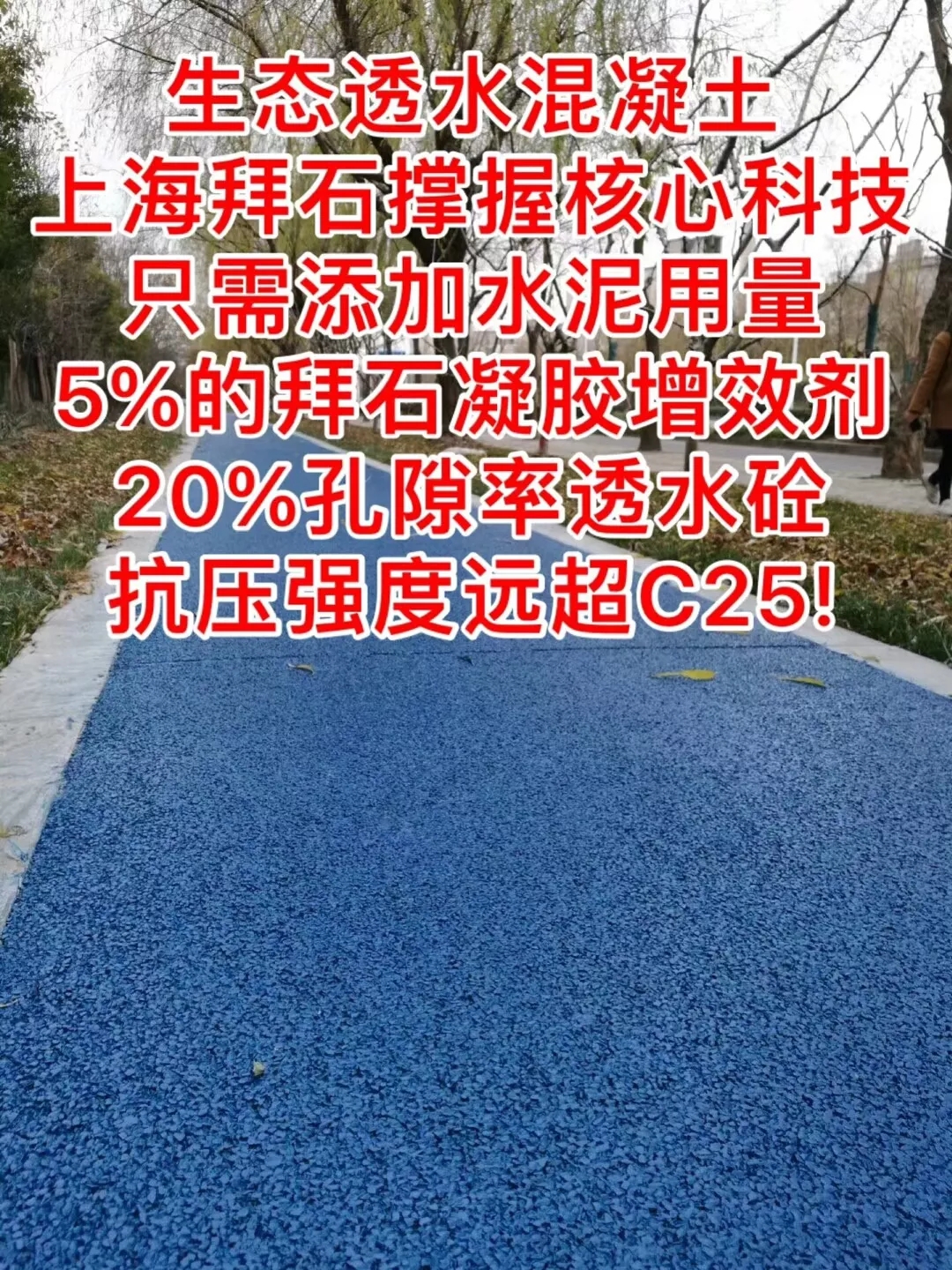 19.webp.jpg 19.webp.jpg