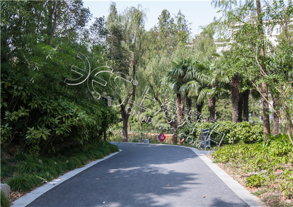 彩色混凝土路面 彩色混凝土路面