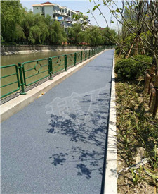 上海徐匯透水路面指導(dǎo)項(xiàng)目