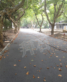 浙江大學西溪校區(qū)