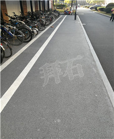 上海東華大學(xué)生態(tài)透水路面工程