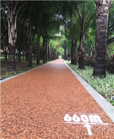 江蘇海鹽膠粘石透水混凝土！