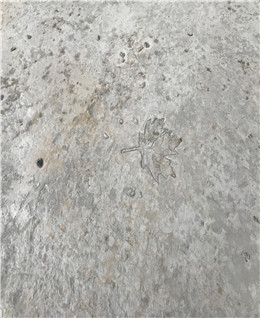 上海廣富林遺址公園壓花地坪項(xiàng)目