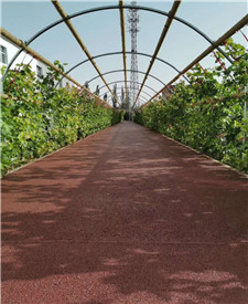 上海長寧政法大學(xué)二期透水地坪項目 上海長寧政法大學(xué)二期透水地坪項目