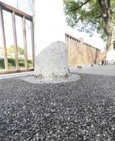 上海青浦膠粘石樹(shù)池項(xiàng)目