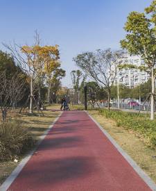 上海寶菊路紅色透水混凝土項(xiàng)目 上海寶菊路紅色透水混凝土項(xiàng)目